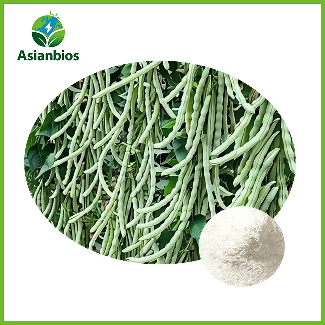 white kidney bean extract powder